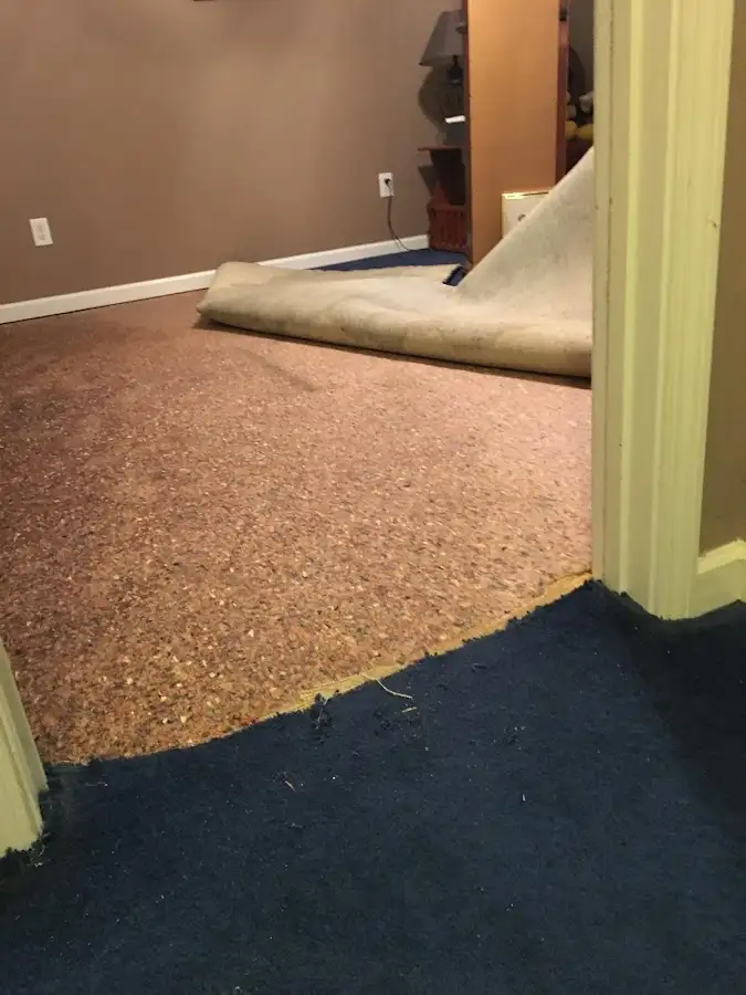 Carpet pad removal revealing water damage during Water Mitigation Services in Alta Sierra