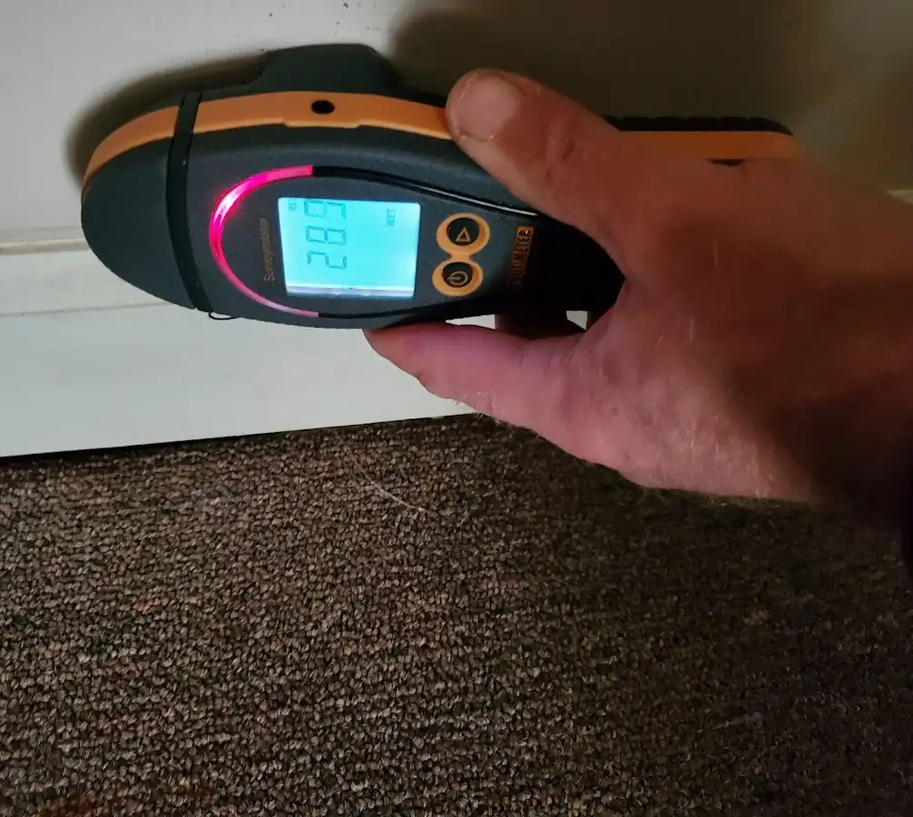 Moisture detection at baseboard during Mold Inspection & Testing in Alta Sierra